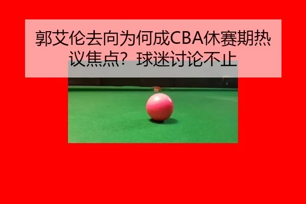 郭艾伦去向为何成CBA休赛期热议焦点？球迷讨论不止 - mk.com